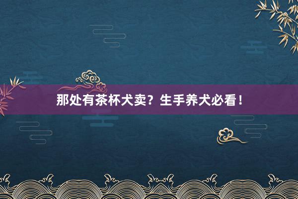 那处有茶杯犬卖？生手养犬必看！